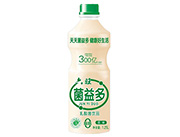 六旺菌益多乳酸菌饮品1.25l