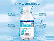 葡萄糖补水液 原味450ml